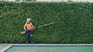 Hedge Trimming West Auckland