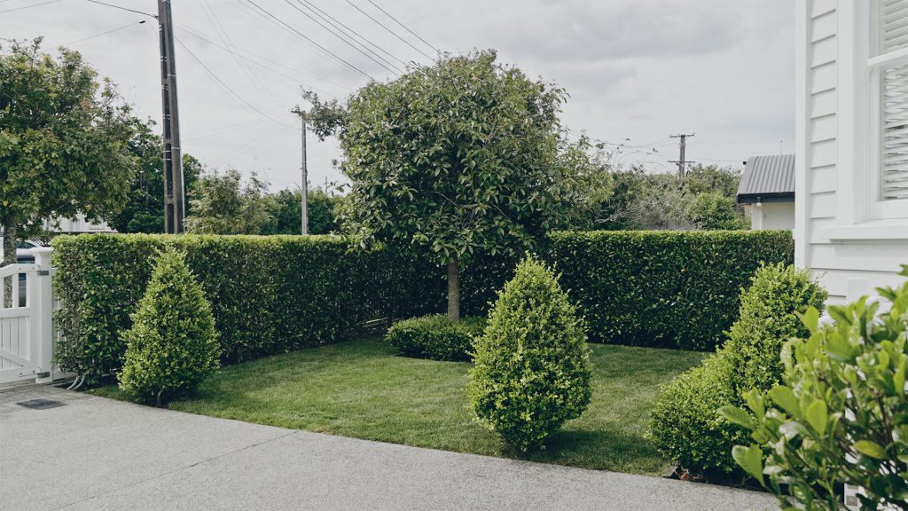 Best Gardener Auckland