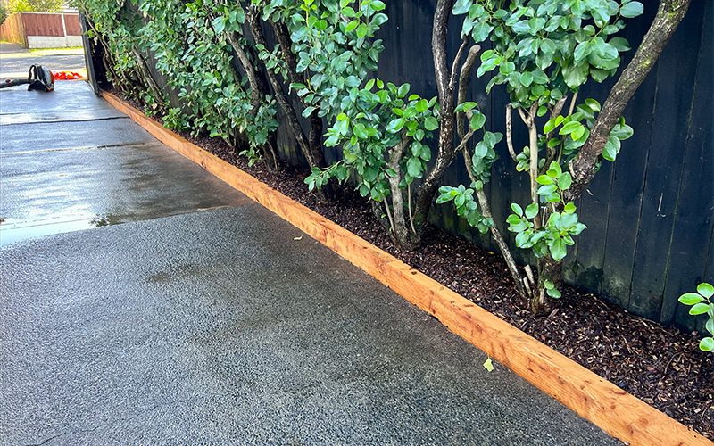 Best arborists Remuera providing professional tree care services