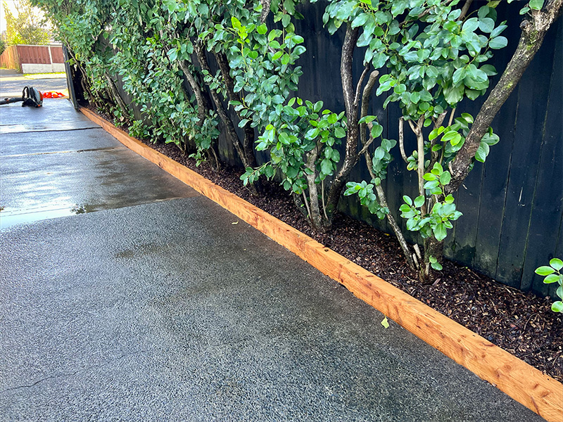 Best arborists Remuera providing professional tree care services