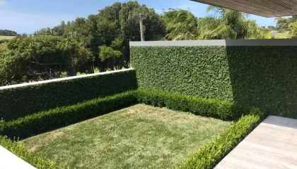 Tree cutting service Remuera trimming large tree branches safely