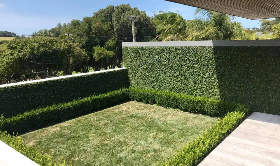 Tree cutting service Remuera trimming large tree branches safely