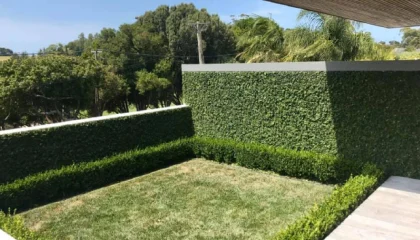 Masterscape-Landscaping-Garden-Maintenance-and-Tree-Work-Auckland-Remuera-4