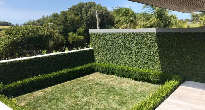 Masterscape-Landscaping-Garden-Maintenance-and-Tree-Work-Auckland-Remuera-4