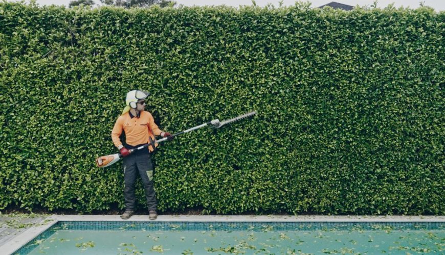Tree removal Remuera service safely removing large tree