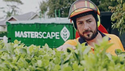 Expert tree care services in Auckland by Masterscape NZ