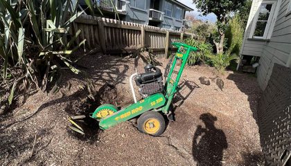 Garden maintenance Newmarket with neat lawn and trimmed hedges