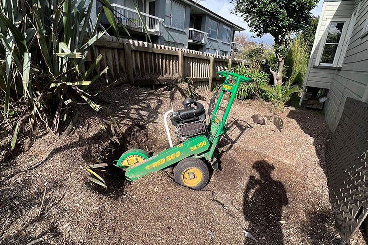 Garden maintenance Newmarket with neat lawn and trimmed hedges