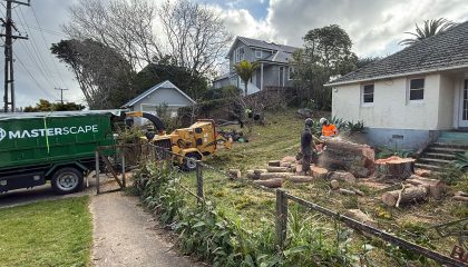 Professional hedge trimming services in Auckland by Masterscape NZ
