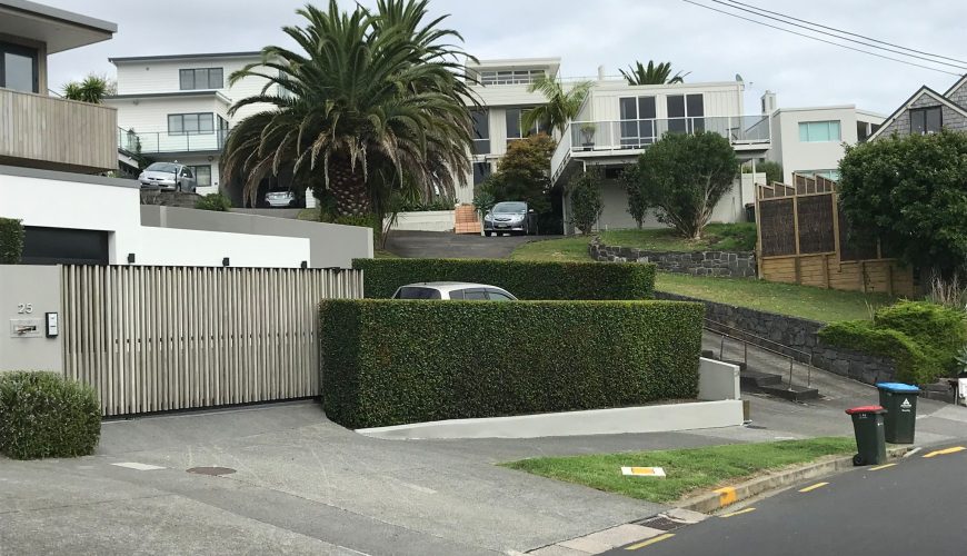 Arborist tree removal Remuera safely removing large tree near home