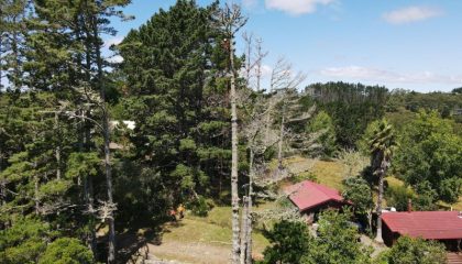 Commercial garden maintenance Grey Lynn with clean lawns and trimmed hedges